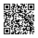 To view this 2004 LINCOLN NAVIGATOR Bismarck ND from Gerald Wetzel Motors, please scan this QR code with your smartphone or tablet to view the mobile version of this page.