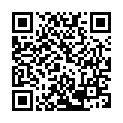 To view this 2006 HYUNDAI SANTA FE Bismarck ND from Gerald Wetzel Motors, please scan this QR code with your smartphone or tablet to view the mobile version of this page.