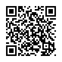 To view this 2004 TOYOTA TUNDRA Bismarck ND from Gerald Wetzel Motors, please scan this QR code with your smartphone or tablet to view the mobile version of this page.
