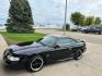 1996 BLACK FORD MUSTANG GT (1FALP42X5TF) with an 4.6L engine, Automatic transmission, located at 1030 S. 22nd St., Bismarck, ND, 58504, (701) 258-0022, 46.793560, -100.758118 - 4.6 LITER, AUTO, BLACK BULLET WHEELS, BLORA SIDE EXHAUSR, 35OOO ACTUAL MILES, LIKE NEW- Photo#0