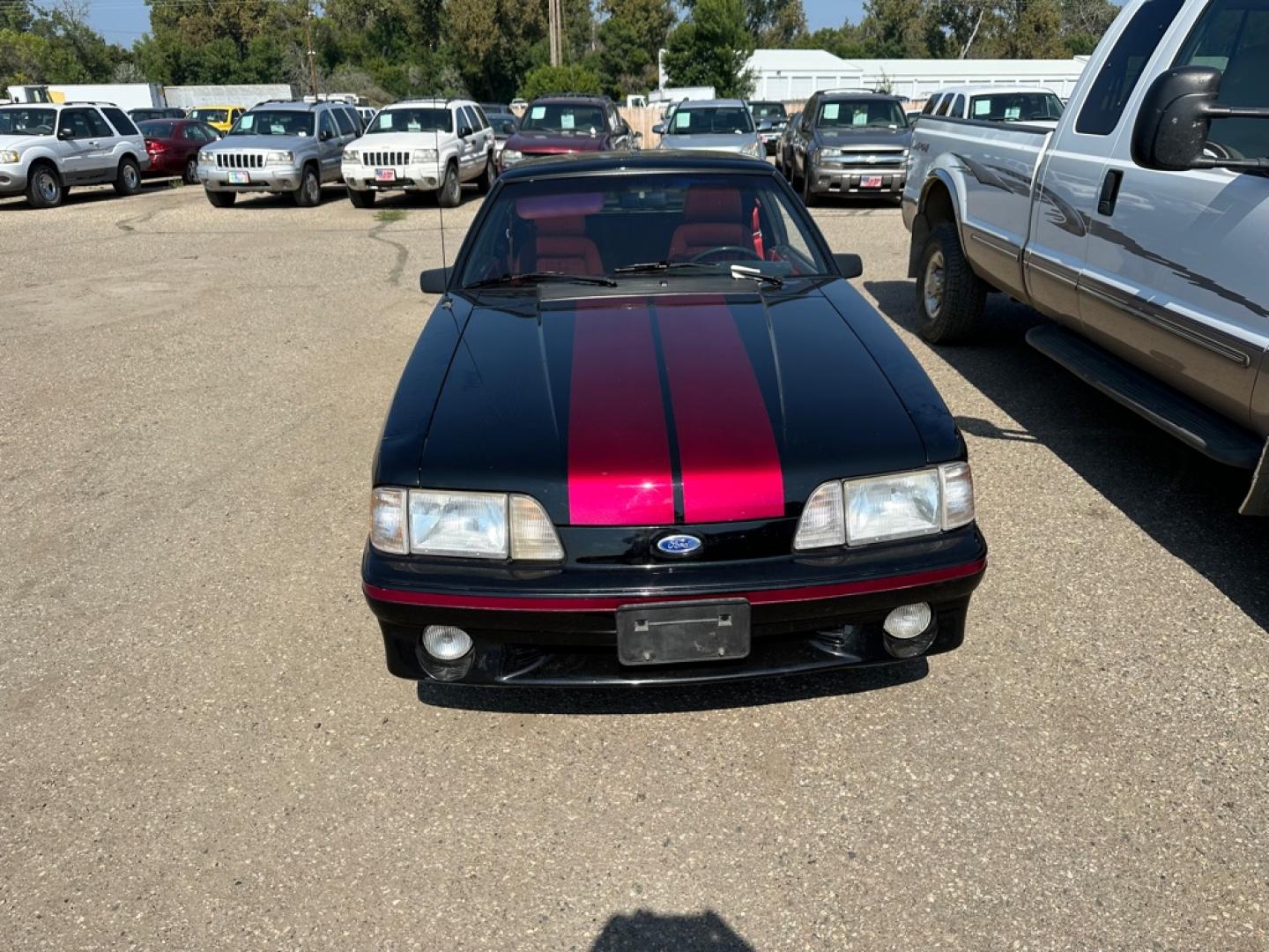 1987 BLACK FORD MUSTANG GT (1FABP42E6H2) with an 5.0 engine, Automatic transmission, located at 1030 S. 22nd St., Bismarck, ND, 58504, (701) 258-0022, 46.793560, -100.758118- Photo#2