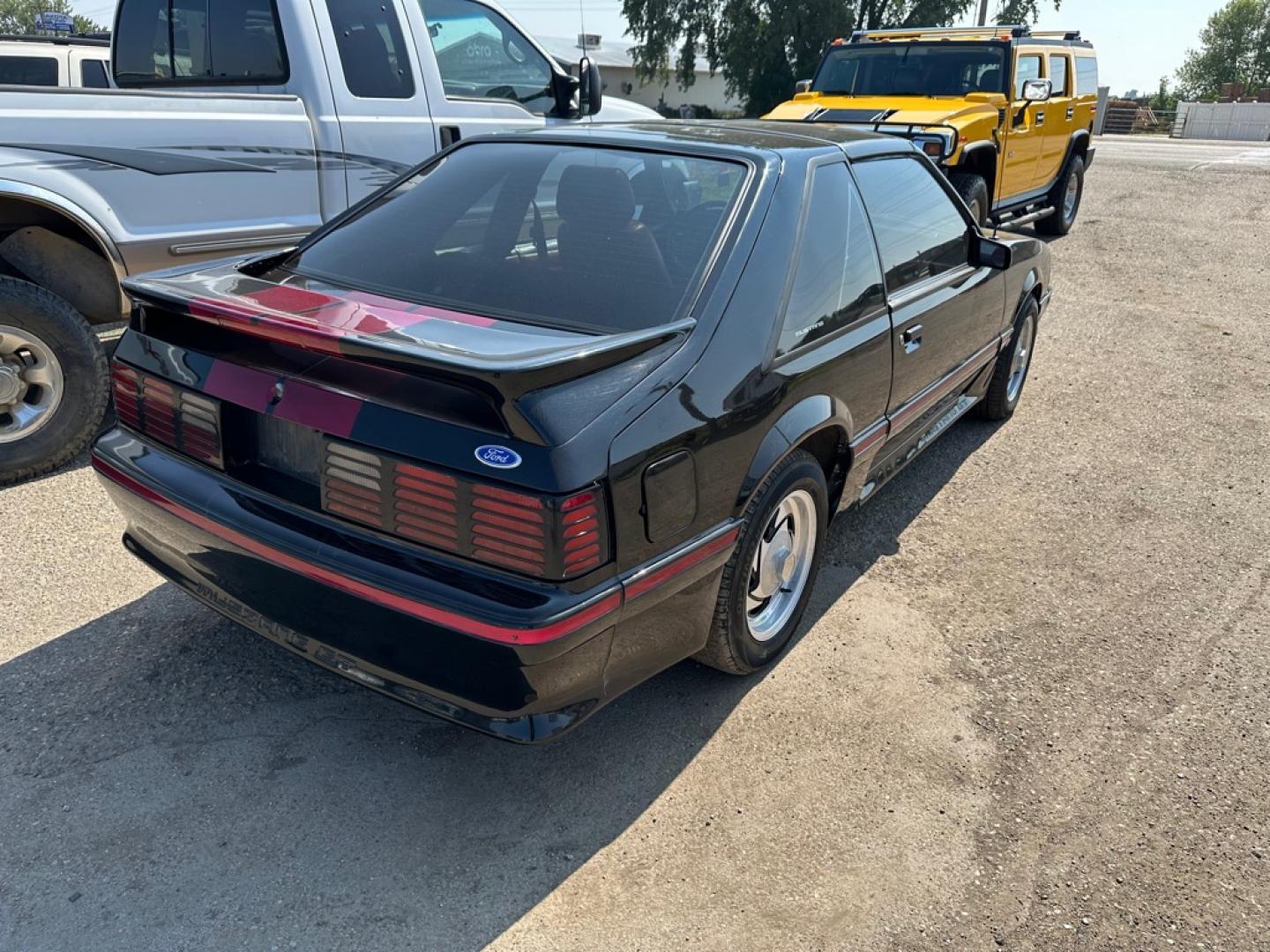 1987 BLACK FORD MUSTANG GT (1FABP42E6H2) with an 5.0 engine, Automatic transmission, located at 1030 S. 22nd St., Bismarck, ND, 58504, (701) 258-0022, 46.793560, -100.758118- Photo#3